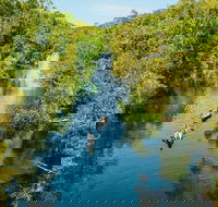 Cruise 'n' Canoe to Australia's Everglades - Tourism Canberra