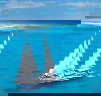 Ocean Spirit Michaelmas Cay Dive and Snorkel Cruise from Cairns - Tourism Canberra