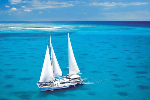 Ocean Spirit Michaelmas Cay Dive And Snorkel Cruise From Cairns - Tourism Canberra 0