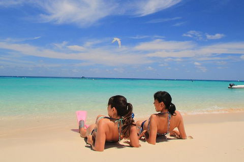 Ocean Spirit Michaelmas Cay Dive And Snorkel Cruise From Cairns - Tourism Canberra 3