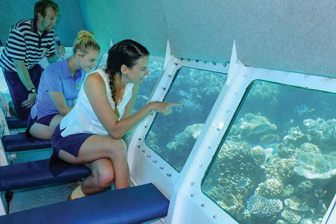 Ocean Spirit Michaelmas Cay Dive And Snorkel Cruise From Cairns - Tourism Canberra 5