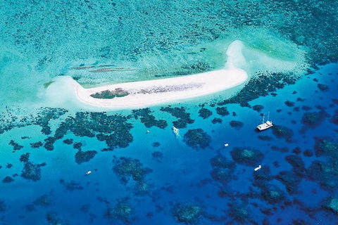 Ocean Spirit Michaelmas Cay Dive And Snorkel Cruise From Cairns - Tourism Canberra 4
