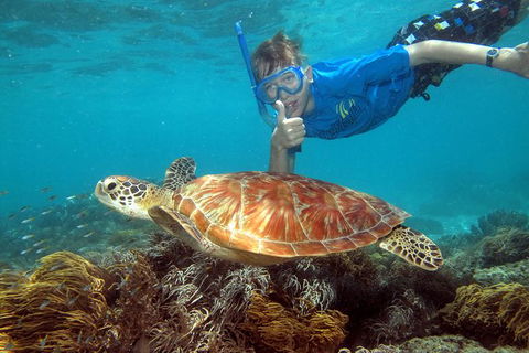 Ocean Spirit Michaelmas Cay Dive And Snorkel Cruise From Cairns - Tourism Canberra 6