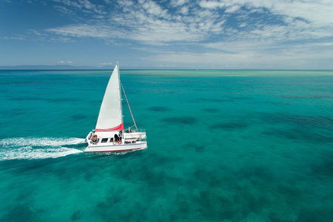 Full-Day Great Barrier Reef Sailing Trip - Tourism Canberra 0