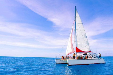 Full-Day Great Barrier Reef Sailing Trip - Tourism Canberra 1