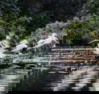 Everglades Eco Safari to Australia's Everglades - Tourism Canberra