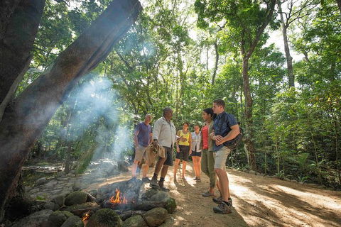 Aboriginal Cultural Daintree Rainforest Tour From Cairns Or Port Douglas - Tourism Canberra 3