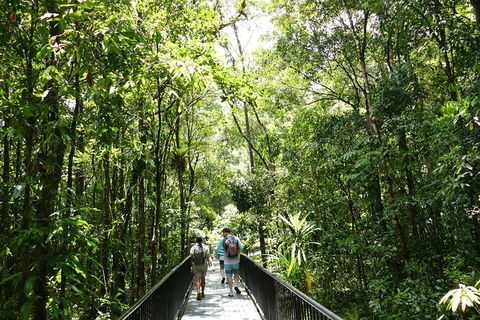 Aboriginal Cultural Daintree Rainforest Tour From Cairns Or Port Douglas - Tourism Canberra 4