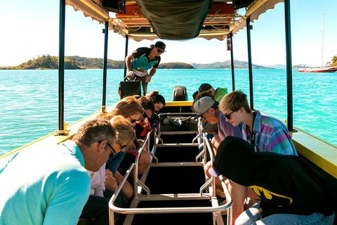 Airlie Beach Glass Bottom Boat Tour - Tourism Canberra 5