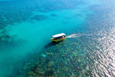 Airlie Beach Glass Bottom Boat Tour - Tourism Canberra 3
