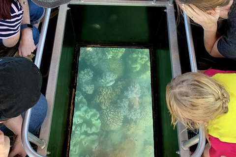 Airlie Beach Glass Bottom Boat Tour - Tourism Canberra 10