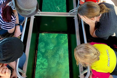Airlie Beach Glass Bottom Boat Tour - Tourism Canberra 11