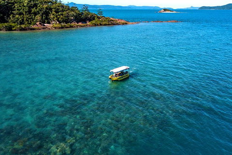 Airlie Beach Glass Bottom Boat Tour - Tourism Canberra 8