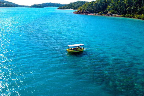 Airlie Beach Glass Bottom Boat Tour - Tourism Canberra 1