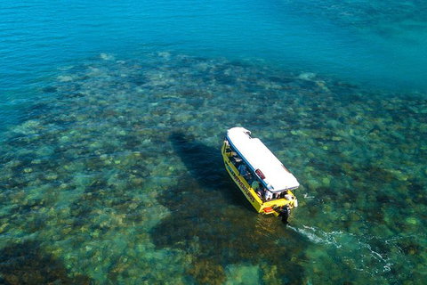 Airlie Beach Glass Bottom Boat Tour - Tourism Canberra 9