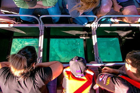 Airlie Beach Glass Bottom Boat Tour - Tourism Canberra 4