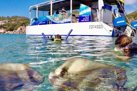 Aquascene Magnetic Island Discovery Tour - Tourism Canberra 4