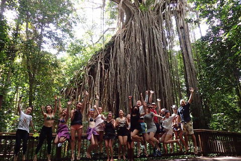 Atherton Tablelands Waterfalls Tour From Cairns - Tourism Canberra 8