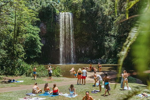Atherton Tablelands Waterfalls And Rainforest Day Tour Departing Cairns - Tourism Canberra 4