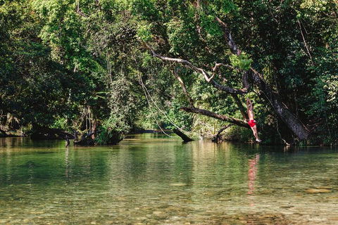 Atherton Tablelands Waterfalls And Rainforest Day Tour Departing Cairns - Tourism Canberra 3