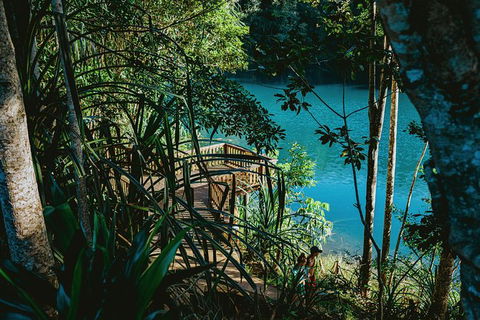 Atherton Tablelands Waterfalls And Rainforest Day Tour Departing Cairns - Tourism Canberra 5