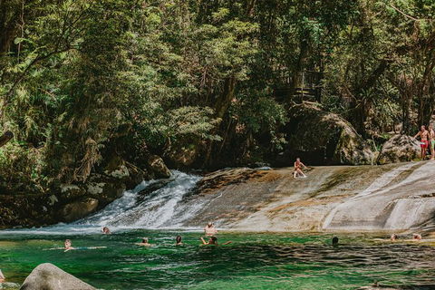 Atherton Tablelands Waterfalls And Rainforest Day Tour Departing Cairns - Tourism Canberra 8