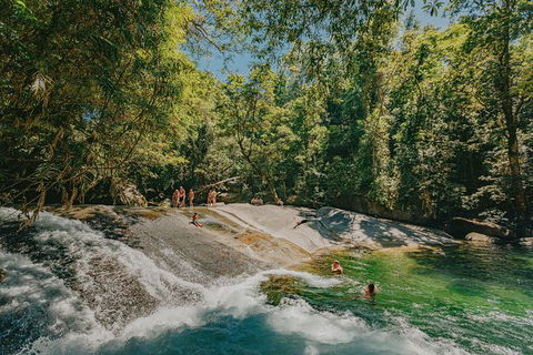 Atherton Tablelands Waterfalls And Rainforest Day Tour Departing Cairns - Tourism Canberra 0