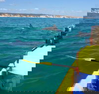 Kayak with Dolphins and 4WD Great Beach Drive Day Trip from Noosa - Tourism Canberra