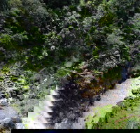 Full-day Springbrook National Park Tour from the Gold Coast - Tourism Canberra