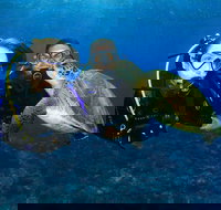 Gold Coast Try-Scuba Experience at Wave Break Island - Tourism Canberra