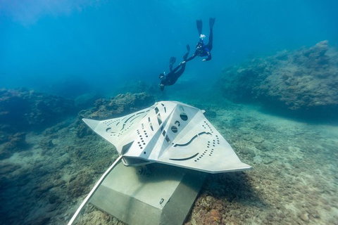 Private Standard Charter Experience In Whitsundays - Tourism Canberra 7