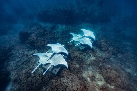 Private Standard Charter Experience In Whitsundays - Tourism Canberra 6
