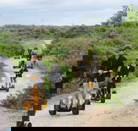 Gold Coast Segway Safari Adventure 90-minutes - Tourism Canberra