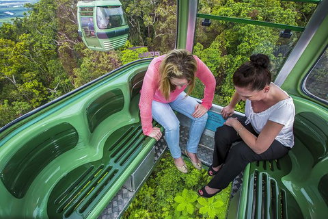 8-Day Cairns Tour: Great Barrier Reef, Kuranda, Daintree Rainforest - Tourism Canberra 1