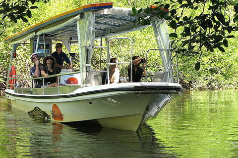 8-Day Cairns Tour: Great Barrier Reef, Kuranda, Daintree Rainforest - Tourism Canberra 3