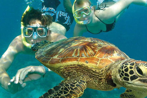 8-Day Cairns Tour: Great Barrier Reef, Kuranda, Daintree Rainforest - Tourism Canberra 2