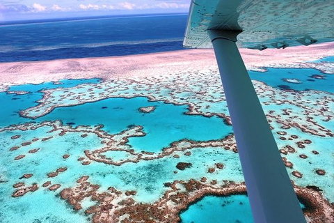 8-Day Cairns Tour: Great Barrier Reef, Kuranda, Daintree Rainforest - Tourism Canberra 0