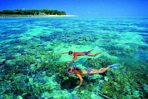 4-Day Cairns With Great Barrier Reef And Daintree Rainforest - Tourism Canberra 3