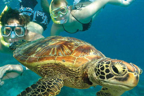 4-Day Cairns With Great Barrier Reef And Daintree Rainforest - Tourism Canberra 4
