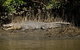 4-Day Cairns With Great Barrier Reef And Daintree Rainforest - thumb 6