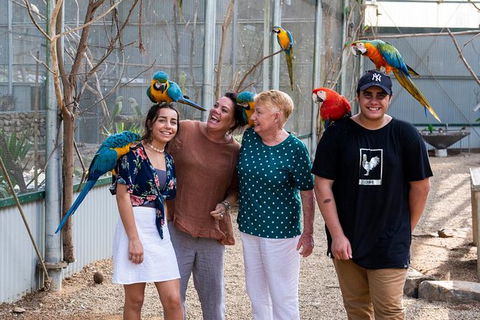 Maleny Botanic Gardens Bird Aviary Experience Ticket - Tourism Canberra 5