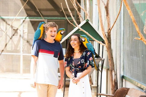 Maleny Botanic Gardens Bird Aviary Experience Ticket - Tourism Canberra 8