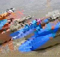 Kids Only Surf Lessons at Surfers Paradise Beach - Tourism Canberra