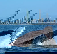 Gold Coast Airport to and from Byron Bay NSW for up-to 7 ppl - Tourism Canberra