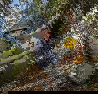 4-Day Australian Outback Tour from the Gold Coast to Sydney - Tourism Canberra