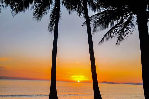 Airport Transfers Between Cairns Airport And Palm Cove - Tourism Canberra 4