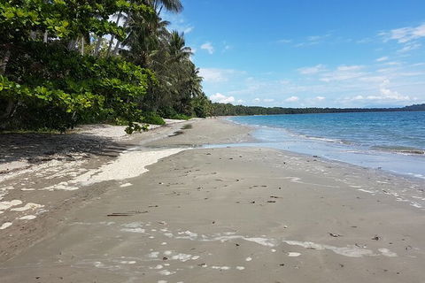 Airport Transfers Between Cairns Airport And Palm Cove - Tourism Canberra 2