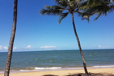 Airport Transfers Between Cairns Airport And Palm Cove - Tourism Canberra 8