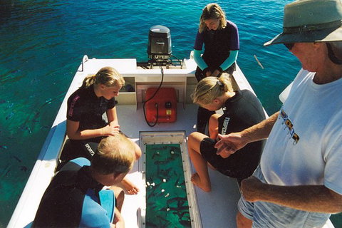 Great Barrier Reef Luxury Expedition Cruise Cabin Booking 7 Days 6 Night - Tourism Canberra 1