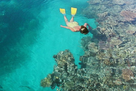 Great Barrier Reef Luxury Expedition Cruise Cabin Booking 7 Days 6 Night - Tourism Canberra 8